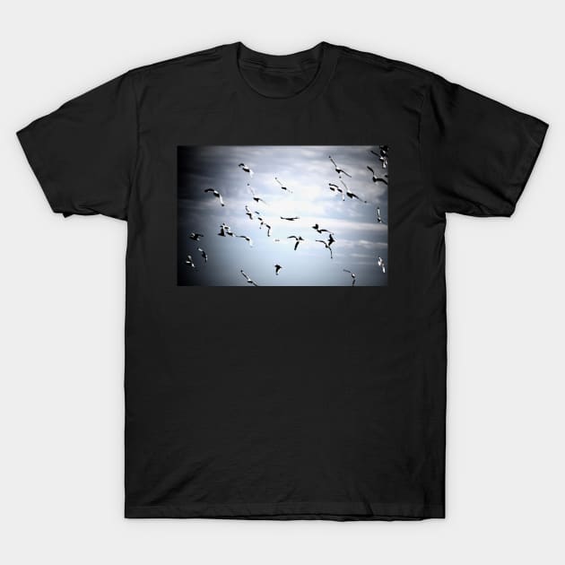 Die Vögel / Swiss Artwork Photography T-Shirt by RaphaelWolf